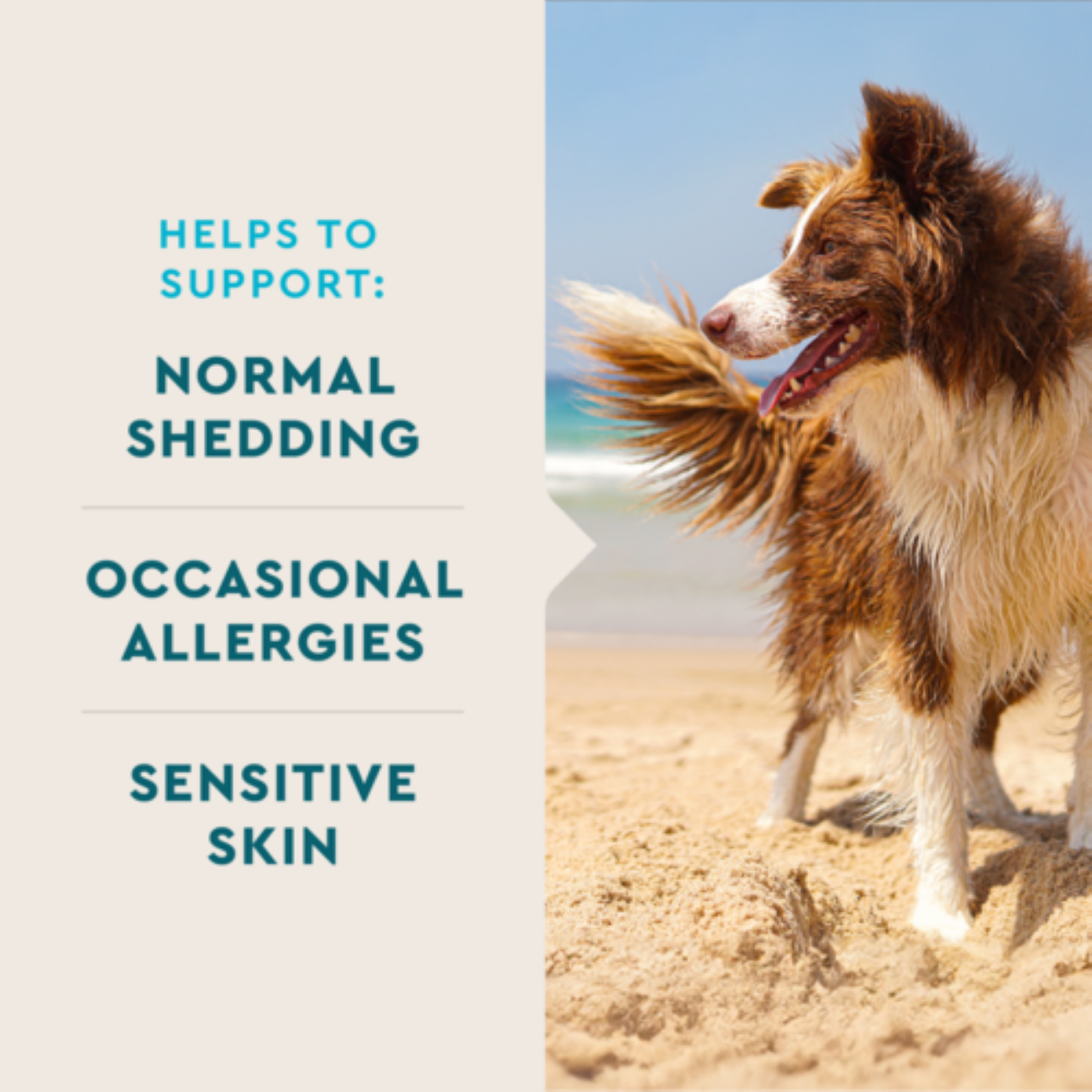 slide 4 of 6, VetIQ Skin & Coat 60Ct, 60 ct