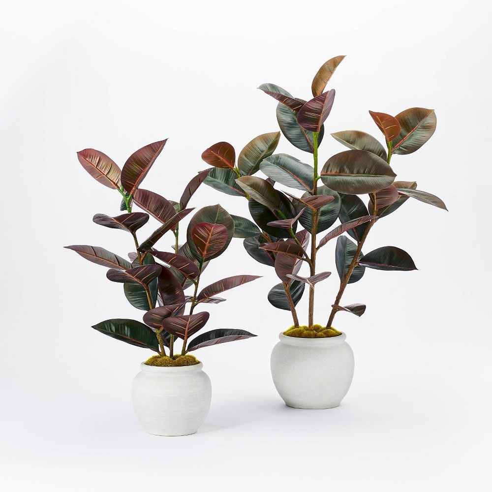 slide 5 of 5, Threshold designed w/Studio McGee 6" x 4.5" Artificial Rubber Plant in Ceramic Pot Purple - Threshold designed with Studio McGee, 1 ct