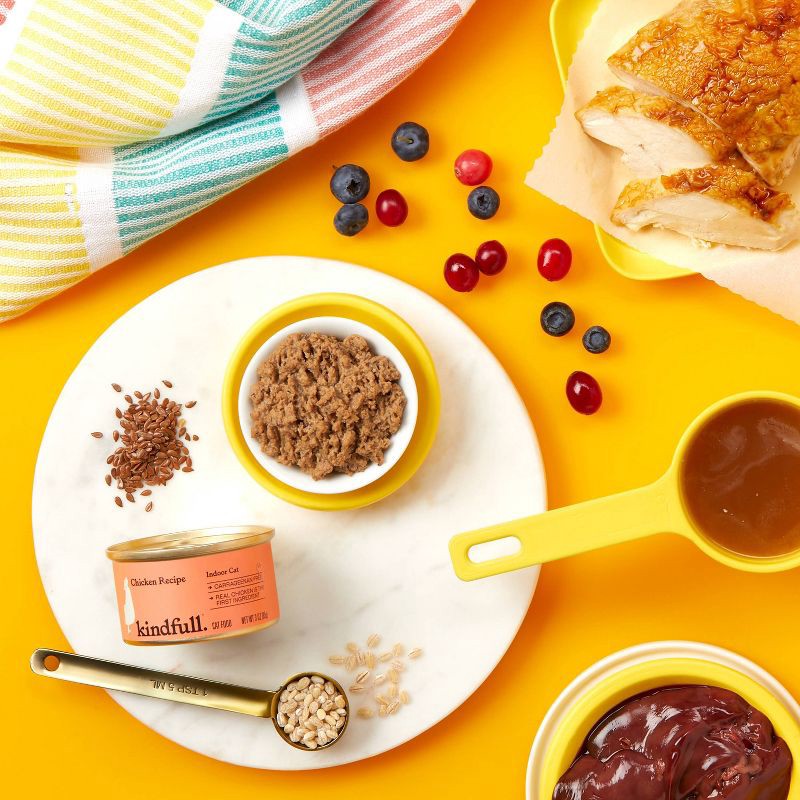 slide 2 of 5, Chicken Pate Recipe for Indoor Cats Wet Cat Food - Kindfull™ 3oz, 3 oz