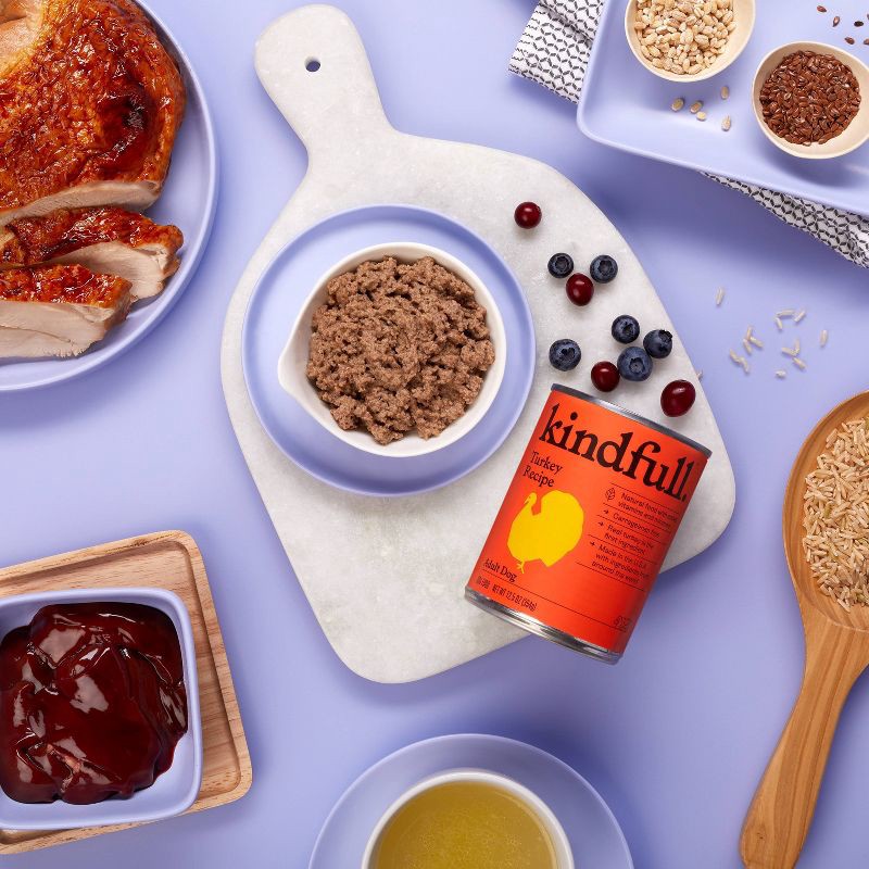 slide 2 of 6, Turkey Recipe Wet Dog Food - 12.5oz - Kindfull™, 12.5 oz