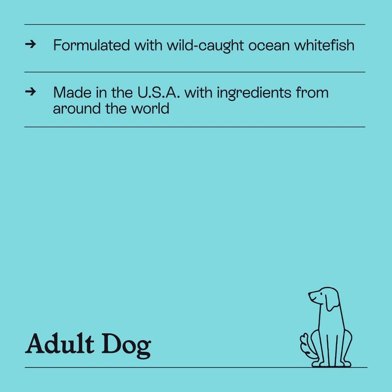 slide 5 of 6, Chicken and White Fish Recipe Wet Dog Food - 12.5oz - Kindfull™, 12.5 oz