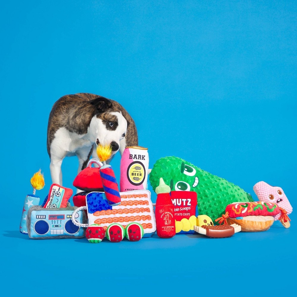 BARK Boombox Dog Toy - Summer Jamz Boombarks 1 ct | Shipt