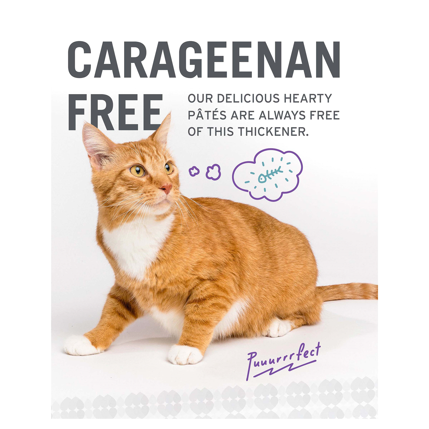 slide 4 of 5, I and Love and You "I and love and you" Naked Essentials Canned Wet Cat Food, Pate Variety Pack (Beef, Salmon, Turkey), Grain Free, Real Meat, No Fillers, 3 oz Cans, Pack of 12 Cans, 12 ct