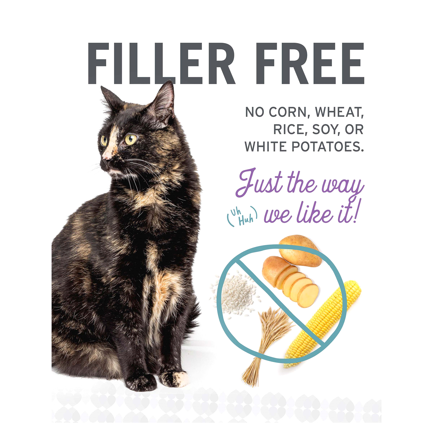 slide 4 of 5, I and Love and You "I and love and you" Naked Essentials Dry Cat Food, Digestive Support Chicken and Pumpkin Recipe, Grain Free, Real Meat, No Fillers, 3.4 lb Bag, 3.4 lb