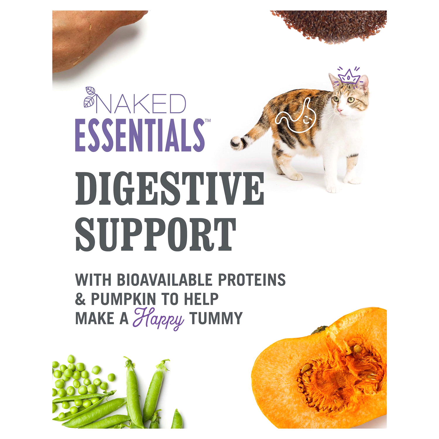 slide 5 of 5, I and Love and You "I and love and you" Naked Essentials Dry Cat Food, Digestive Support Chicken and Pumpkin Recipe, Grain Free, Real Meat, No Fillers, 3.4 lb Bag, 3.4 lb