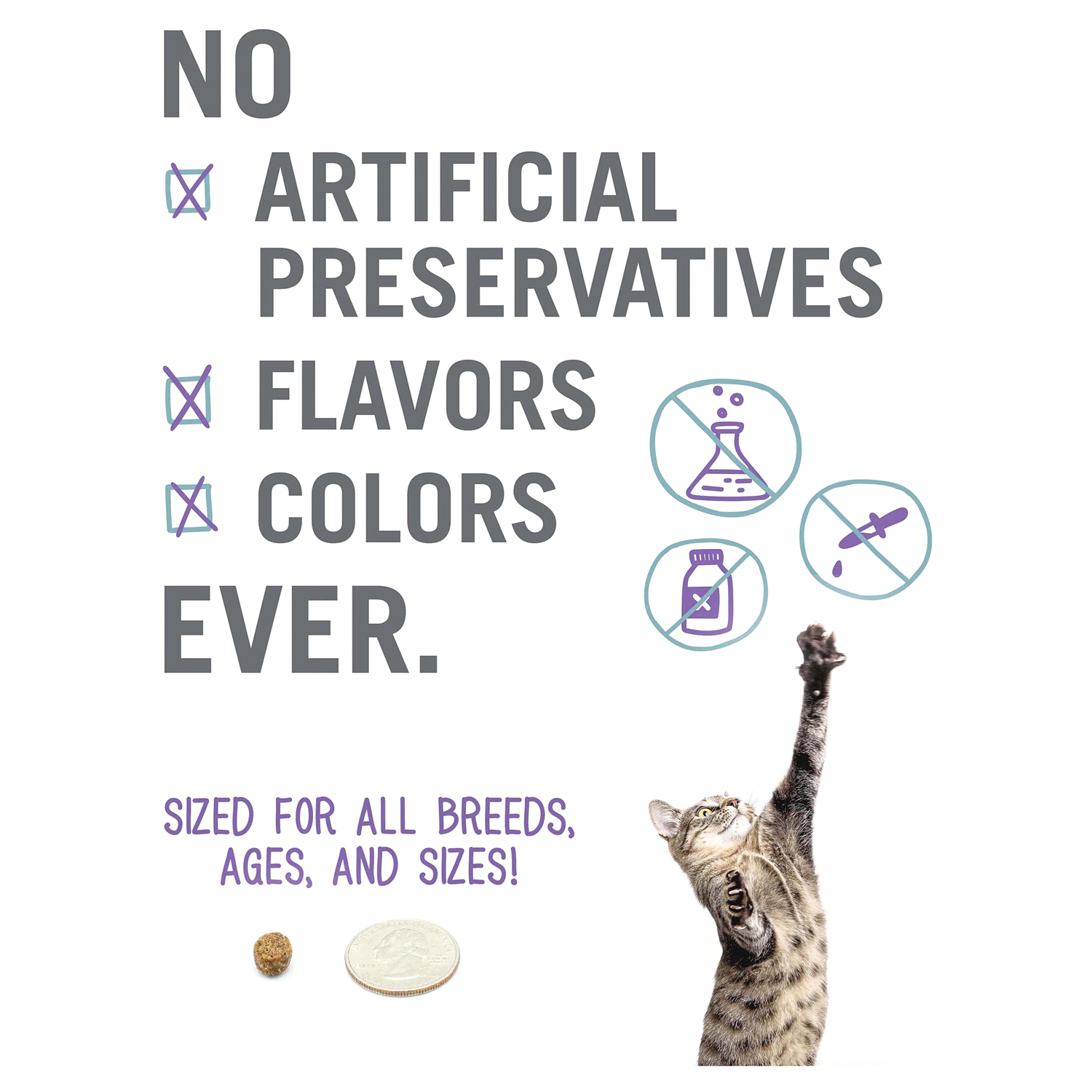 slide 4 of 5, I and Love and You Naked Essentials Grain Free with Salmon + Trout Holistic Cat Food 11 lb, 11 lb