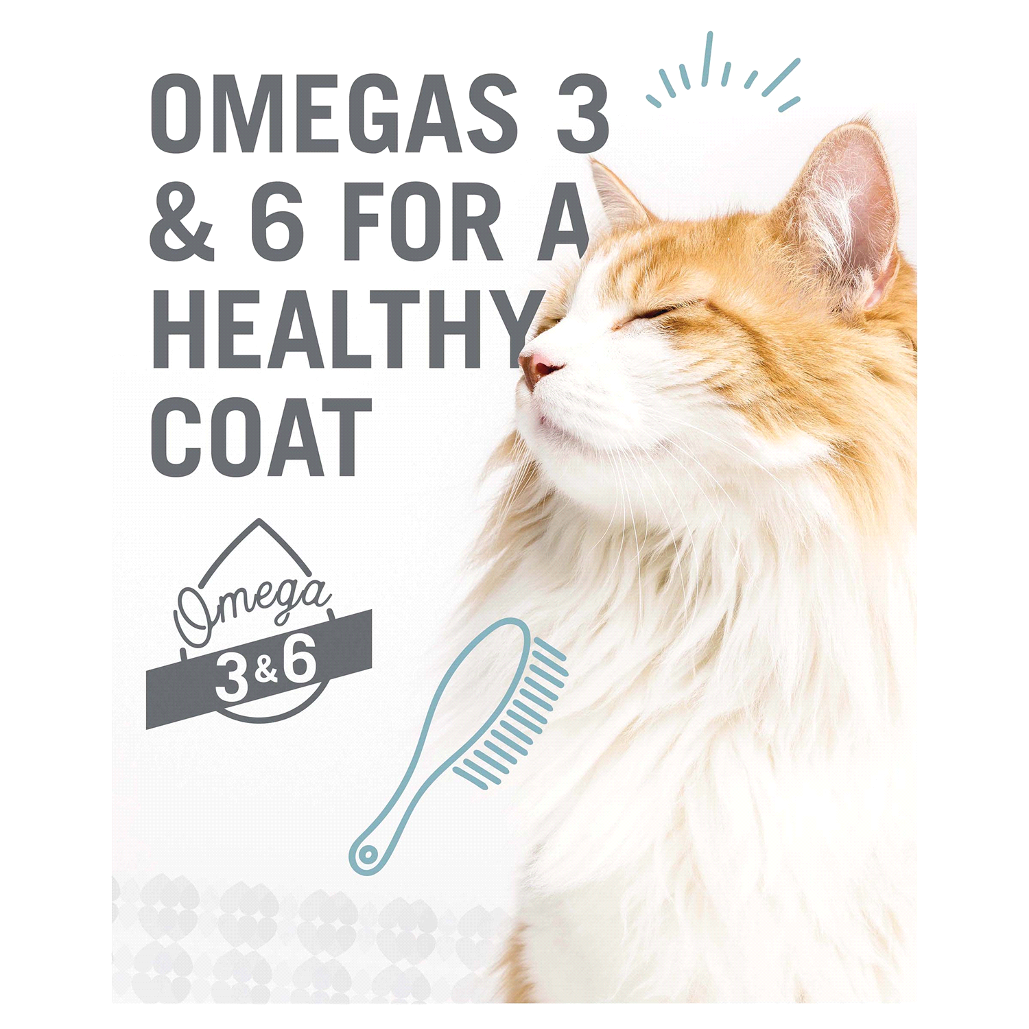 slide 5 of 5, I and Love and You Naked Essentials Grain Free with Salmon + Trout Holistic Cat Food 11 lb, 11 lb