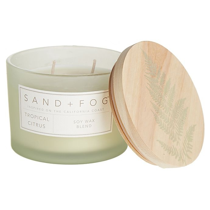 slide 1 of 1, Sand + Fog Tropical Citrus Jar Candle with Painted Fern Wood Lid - Green, 12 oz