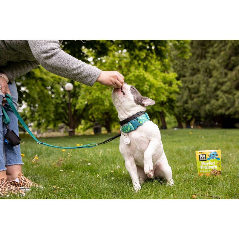slide 3 of 3, Blue Dog Bakery Perfect Trainers Chicken & Cheese Soft Dog Treats - 10oz, 10 oz