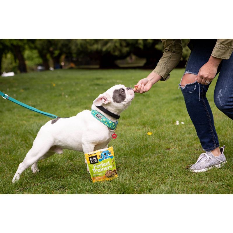 slide 2 of 3, Blue Dog Bakery Perfect Trainers Chicken & Cheese Soft Dog Treats - 10oz, 10 oz