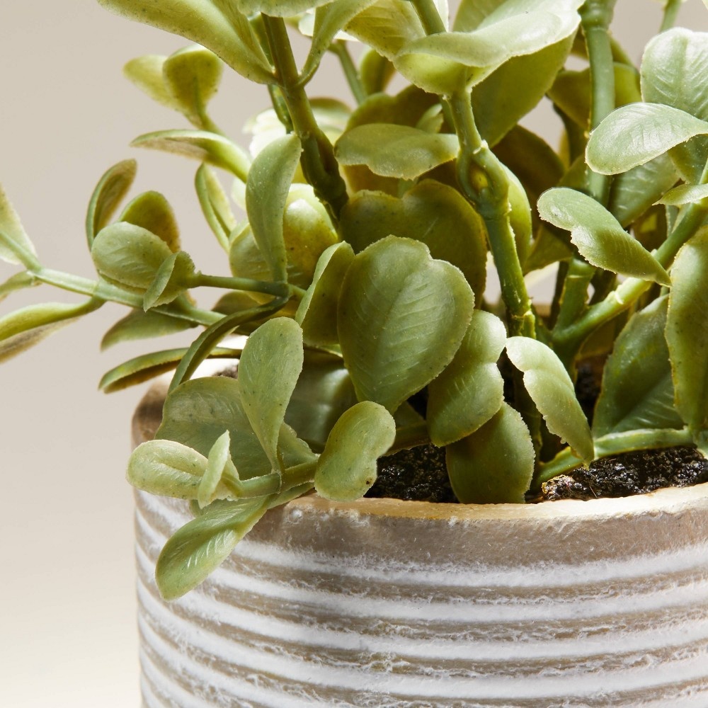 7.5" Mini Faux Jade Potted Plant Hearth & Hand with Magnolia 1 ct Shipt