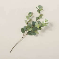 18" Faux Heart Eucalyptus Stem - Hearth & Hand with Magnolia