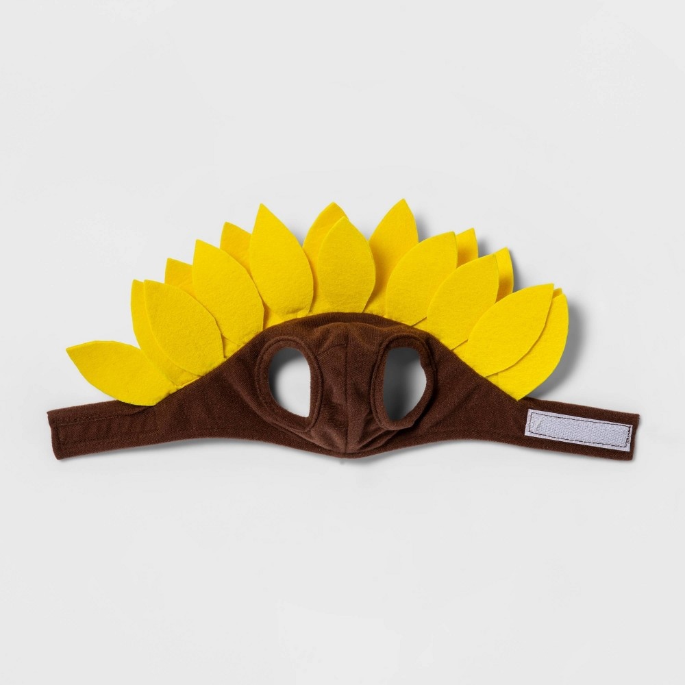 Sunflower Cat Costume Hyde & EEK! Boutique 1 ct Shipt