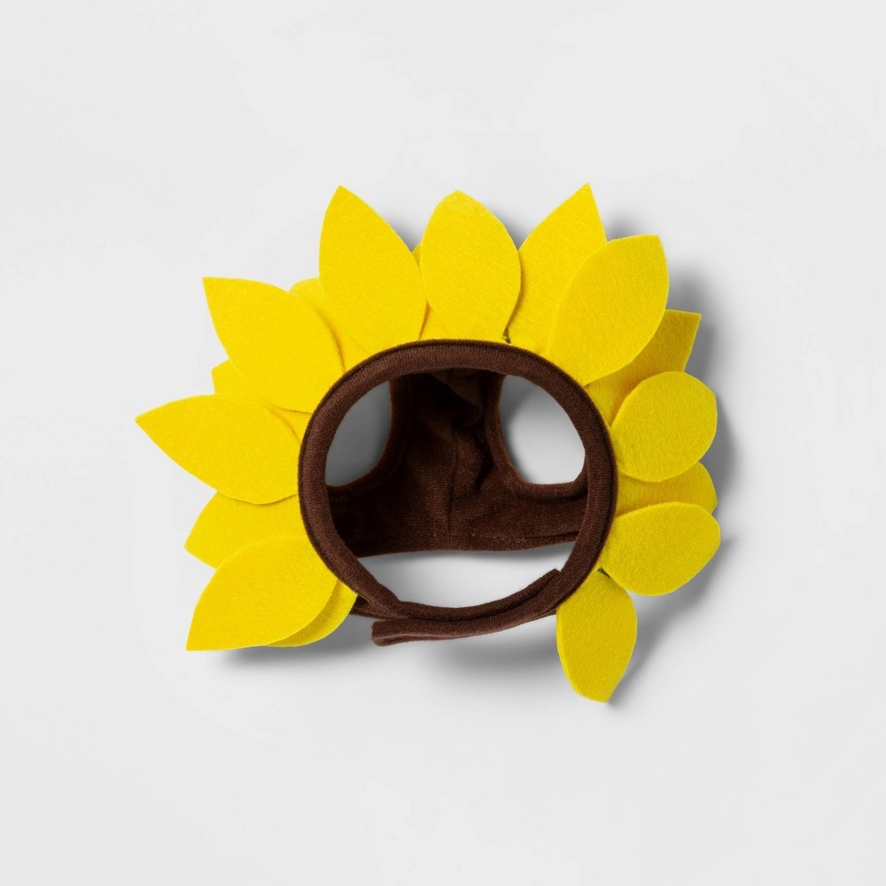 Sunflower Cat Costume Hyde & EEK! Boutique 1 ct Shipt