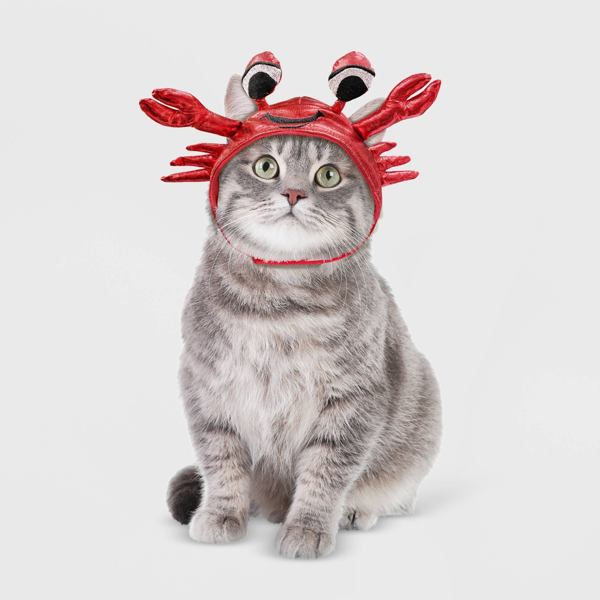 slide 1 of 4, Crab Hat Cat Costume - Hyde & EEK! Boutique, 1 ct