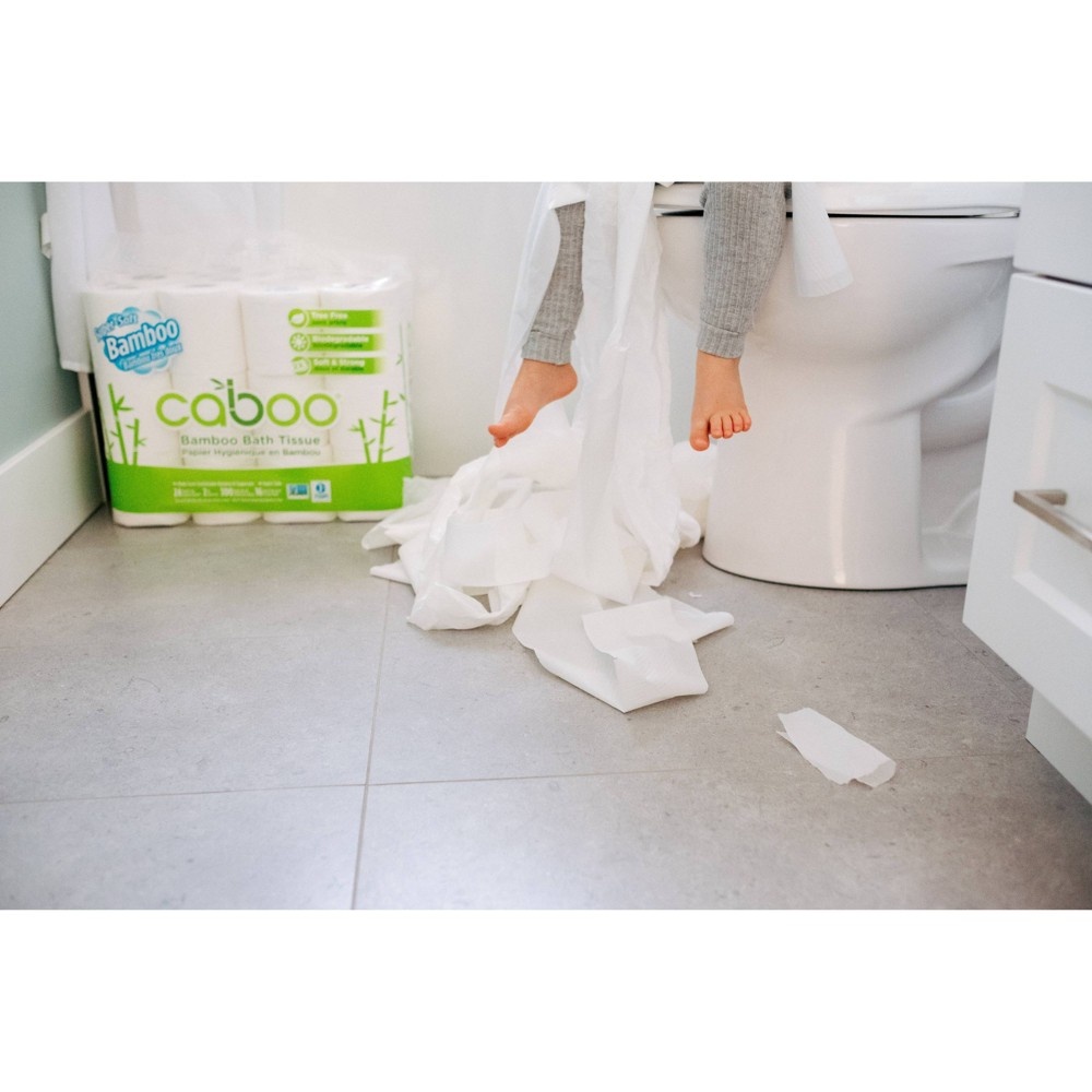 slide 5 of 7, Caboo Bamboo Bath Toilet Paper, 12 ct