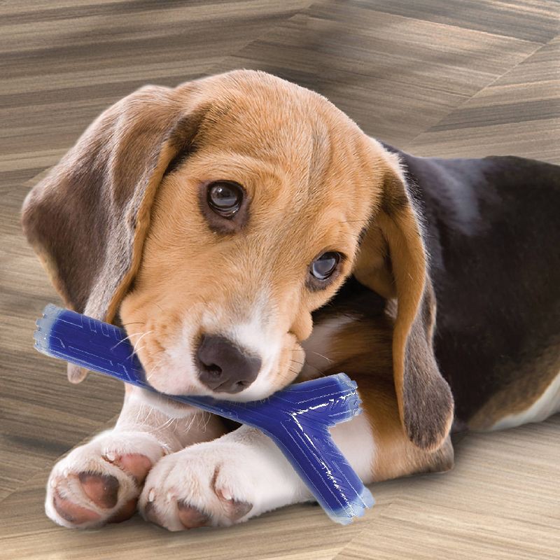 slide 6 of 7, NERF Peanut Butter Super Scent Stick Solid Core Dog Toy - 10", 1 ct