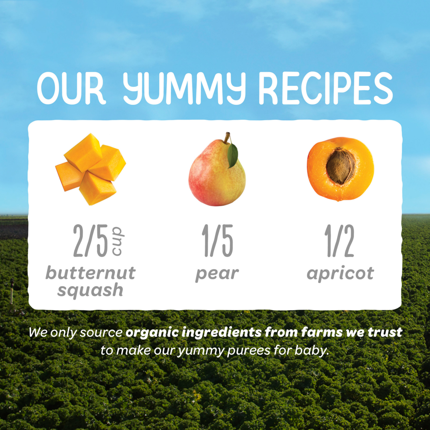 slide 3 of 8, Happy Baby Organics Clearly Crafted Stage 2 Squash, Pears & Apricots Pouch 4oz UNIT, 4 oz