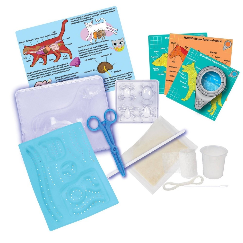 slide 3 of 5, Scientific Explorer Veterinary Science Kit, 1 ct