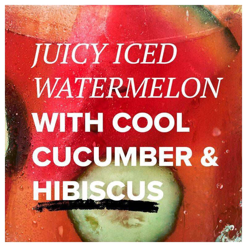 slide 2 of 9, Tazo Refreshers Iced Watermelon Cucumber Iced Tea Concentrate - 32 fl oz, 32 fl oz