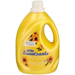 Hill Country Fare Suavizante HE Liquid Fabric Softener, 113 Loads - Country Sunrise