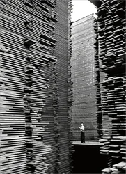 Avanti Birthday Stacking Wood Planks