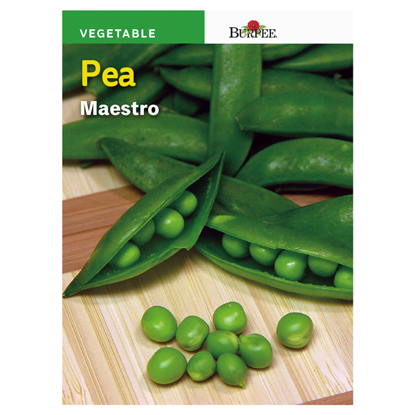 slide 1 of 1, Burpee Vegeable Shelling Pea Maestro Seeds, 1 ct