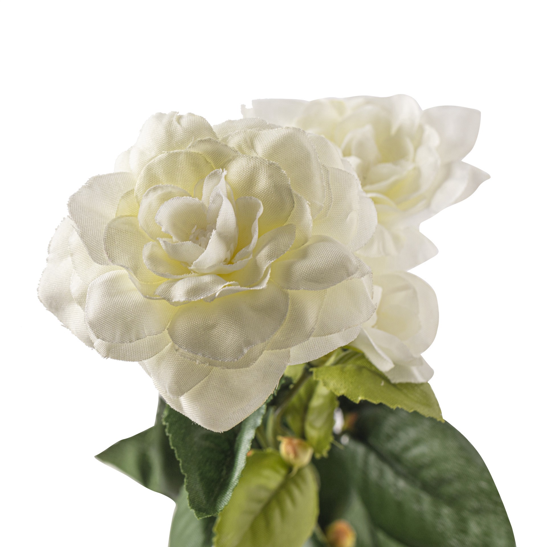 slide 3 of 3, White Gardenia Spray By Ashland, 21 in