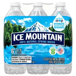 ICE MOUNTAIN Brand 100% Natural Spring Water, 16.9-ounce plastic bottles (Pack of 6)
