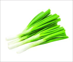 Korean Scallion Bunch