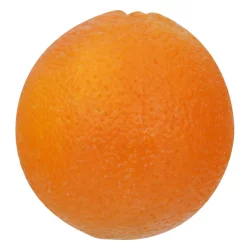Navel Orange