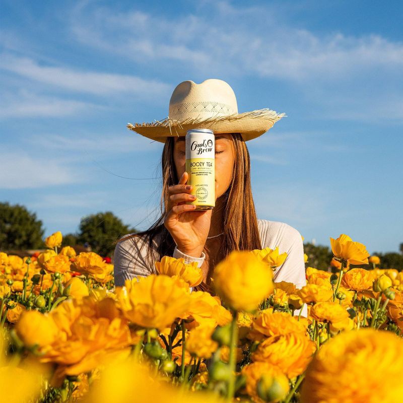 slide 5 of 8, Owl's Brew Par-Tea Boozy Tea Variety Pack - 6pk/12 fl oz Cans, 6 ct; 12 fl oz