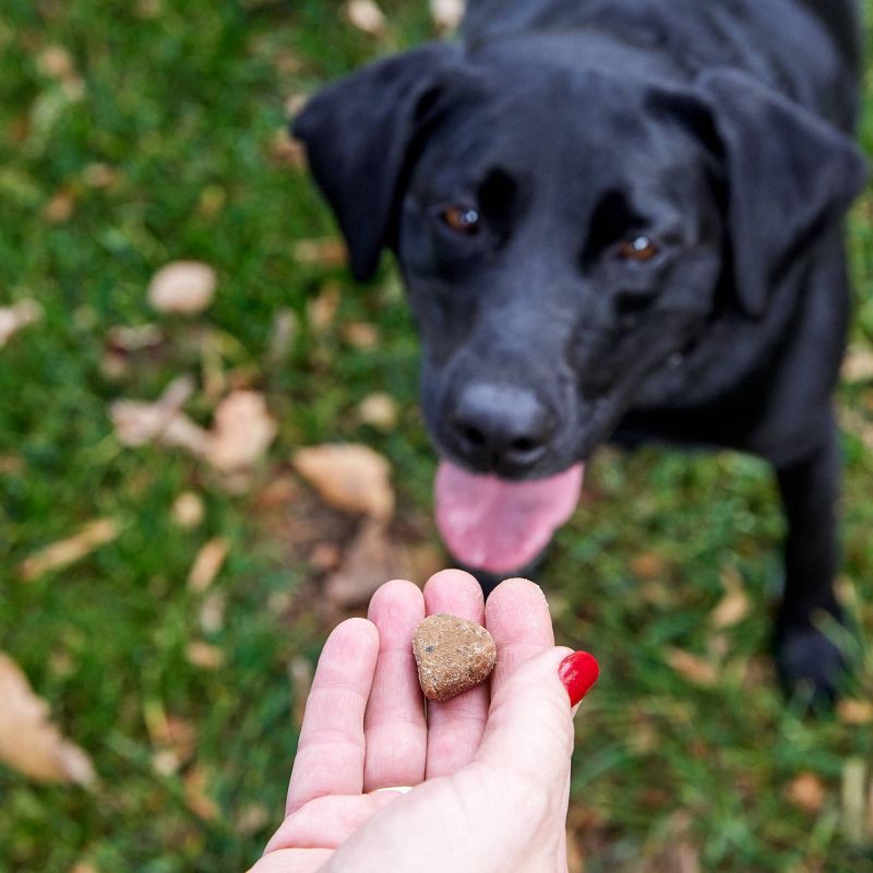 slide 10 of 10, Zesty Paws 8-in-1 Multivitamin Bites for Dog Chicken Flavor - 60ct, 60 ct
