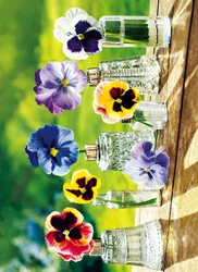 Avanti Press Pansies In Glass Bottles