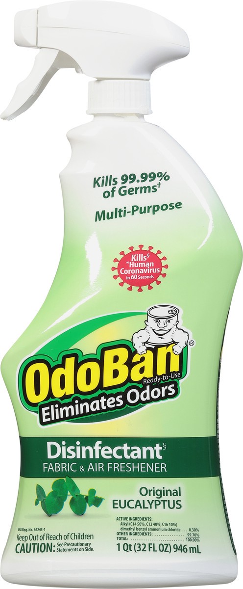 slide 6 of 9, OdoBan Eucalyptus ScentDisinfectant Spray, 32 oz