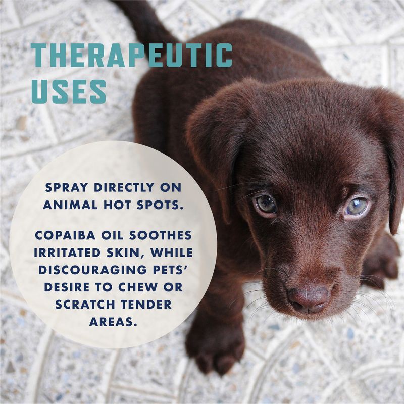 slide 4 of 10, Rocco & Roxie Supply Co. Rocco & Roxie Dog Bitter Spray Deterrent Anti Chew Repellent - 8oz, 8 oz