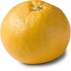 Grapefruit Red