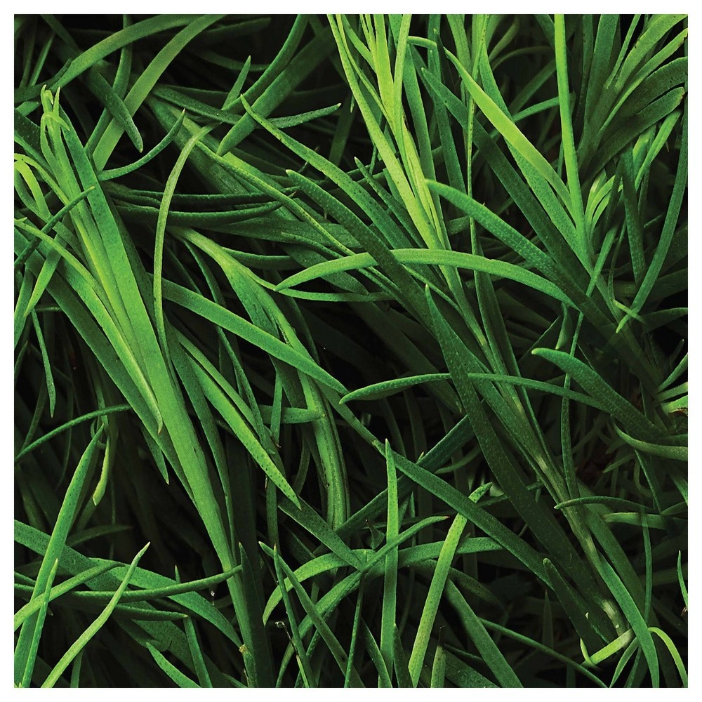 St. Ives Tea Tree Acne Control Daily Cleanser 8 fl oz 8 fl oz Shipt