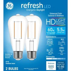 GE Household Lighting GE 2pk 60W Refresh ST19 LED Edison Style Light Bulbs Daylight