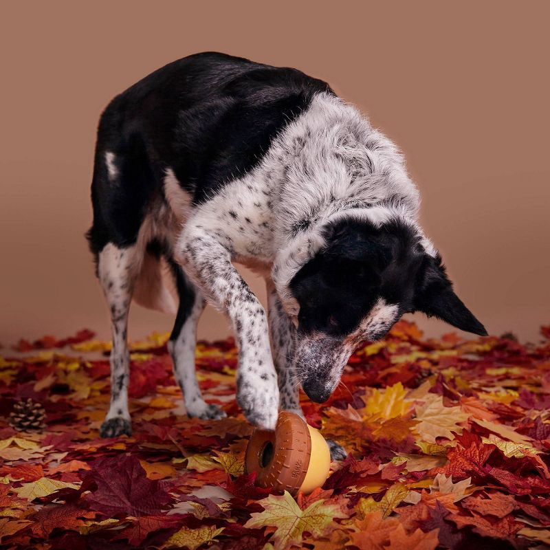 slide 5 of 5, BARK Acorn Super Chewer Dog Toy, 1 ct