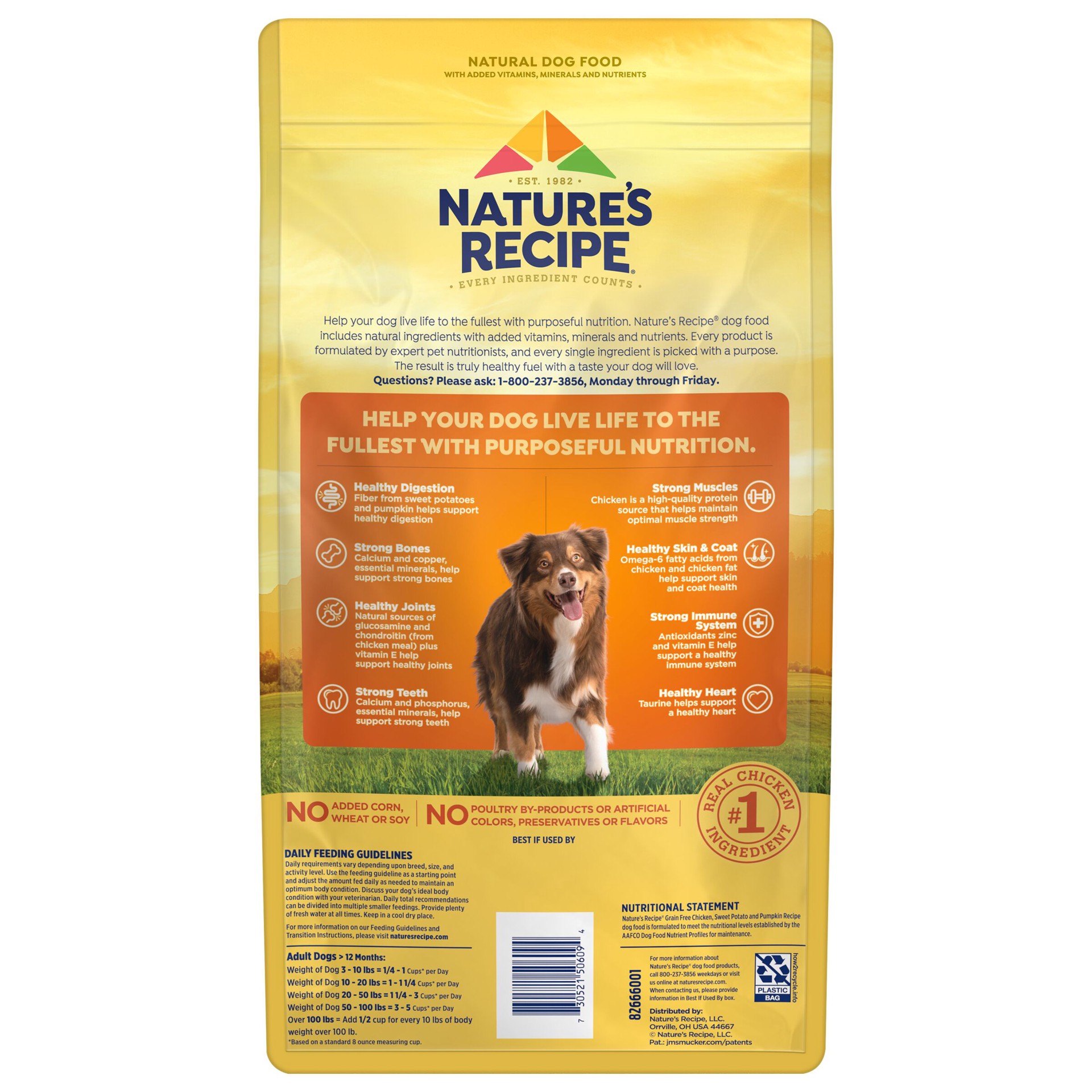 slide 4 of 9, Nature's Recipe Nature′s Recipe Grain Free Chicken, Sweet Potato & Pumpkin Recipe Dry Dog Food, 4 lb. Bag, 4 lb