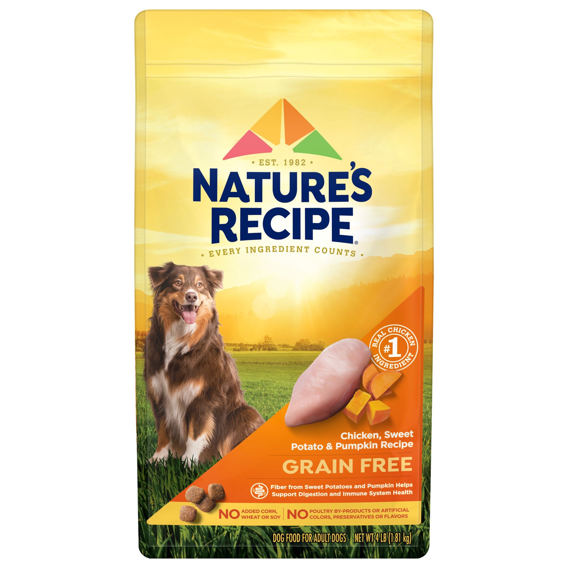 slide 1 of 9, Nature's Recipe Nature′s Recipe Grain Free Chicken, Sweet Potato & Pumpkin Recipe Dry Dog Food, 4 lb. Bag, 4 lb