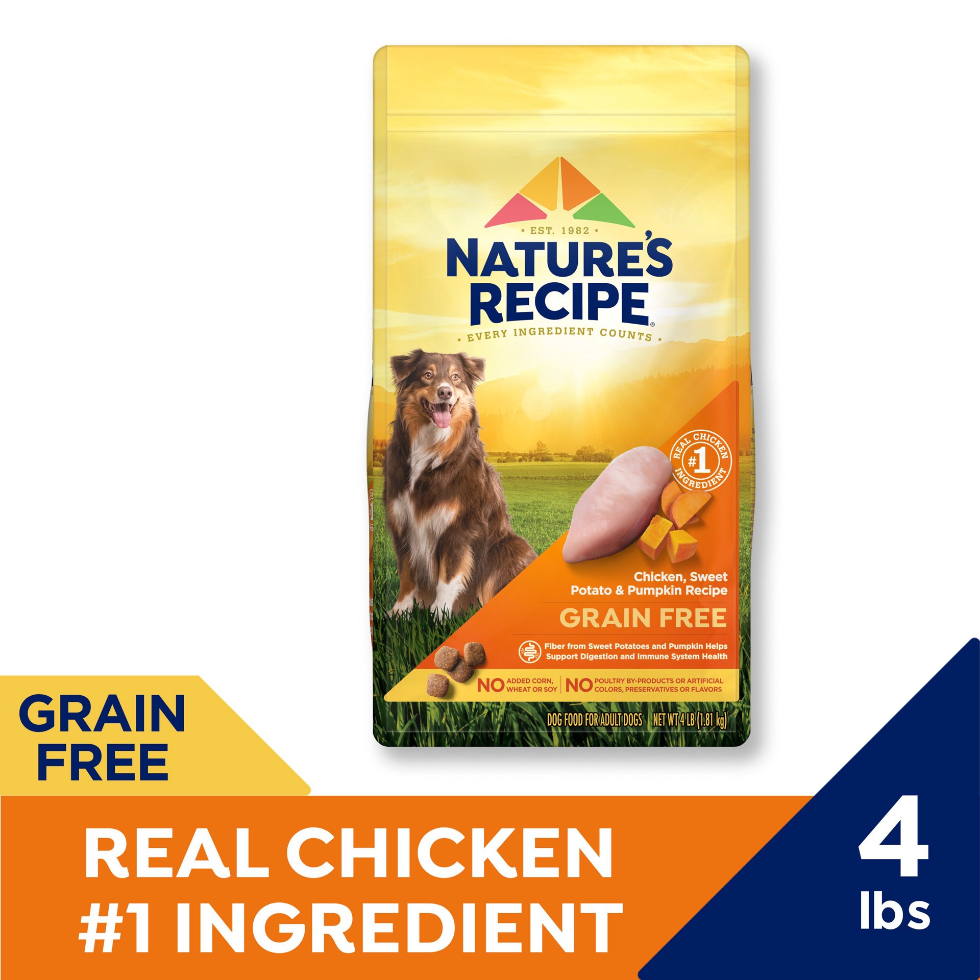 slide 2 of 9, Nature's Recipe Nature′s Recipe Grain Free Chicken, Sweet Potato & Pumpkin Recipe Dry Dog Food, 4 lb. Bag, 4 lb