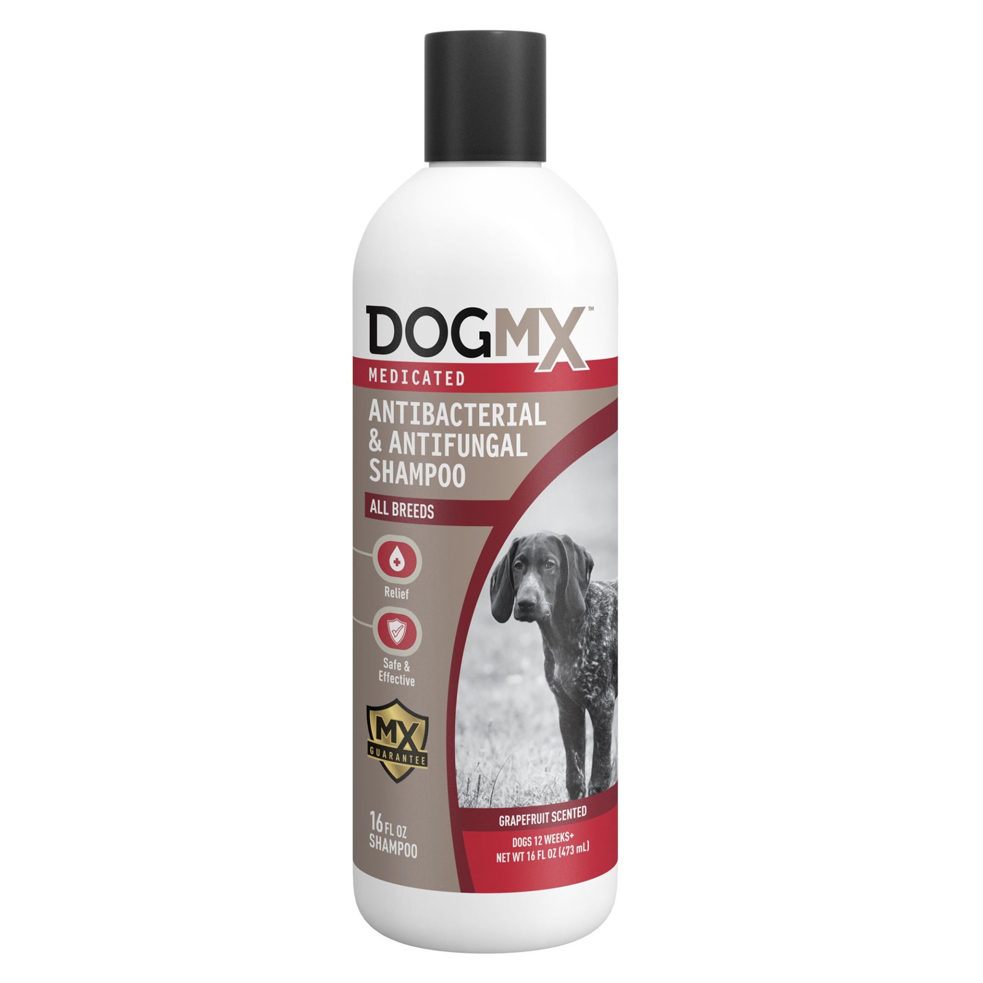 slide 1 of 1, Dog MX Medicated Antibacterial & Antifungal Shampoo for Dogs - Grapefruit, 16 fl oz