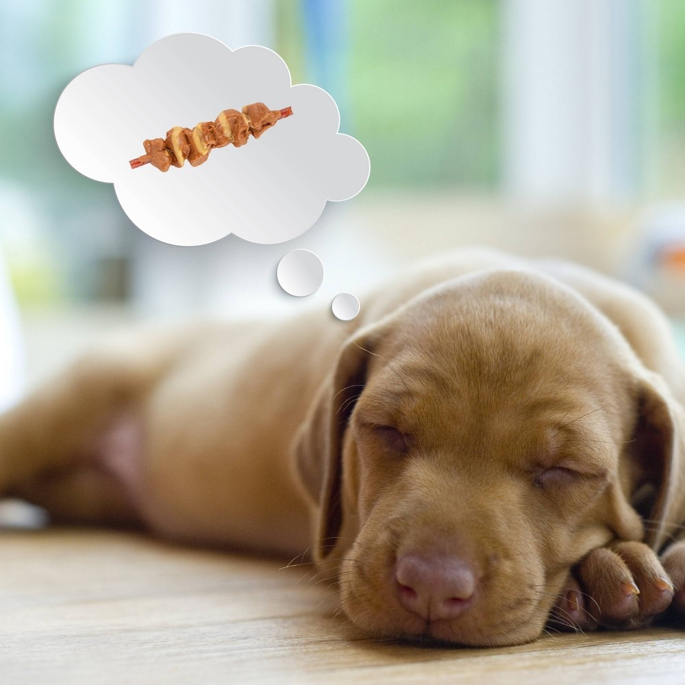 slide 4 of 4, DreamBone Double Protein with Peanut Butter, Chicken Kabobs and Beef Flavor Chews Dog Treats - 9.8oz, 9.8 oz