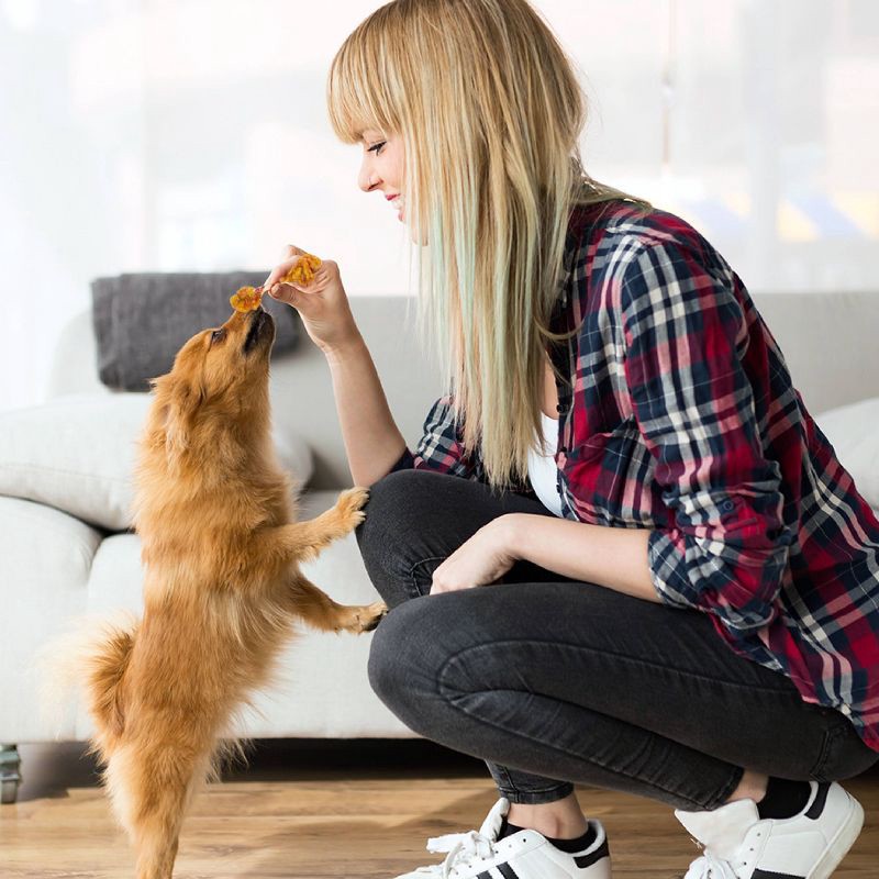 slide 8 of 14, Good 'n' Fun Double Meat Pops Rawhide with Chicken, Beef and Pork Flavor Dog Treats - 5.5oz, 5.5 oz