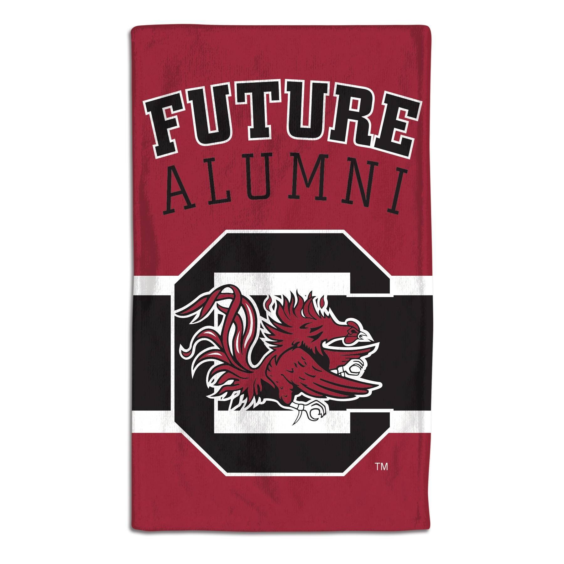 Fan Creations NCAA South Carolina Gamecocks 6 in x 24 in Vertical Heritage Banner