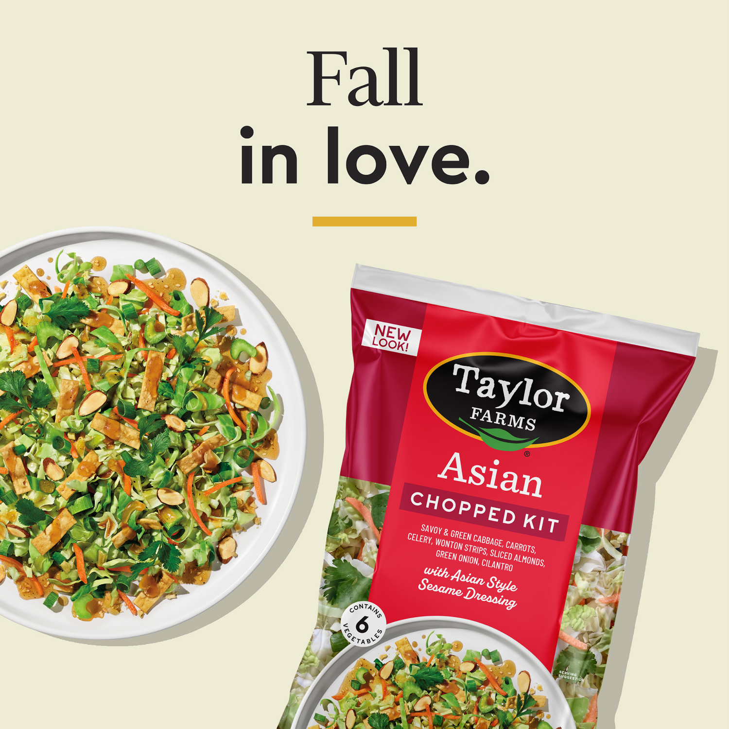 slide 4 of 4, Taylor Farms Asian Chopped Salad Kit, 13 oz