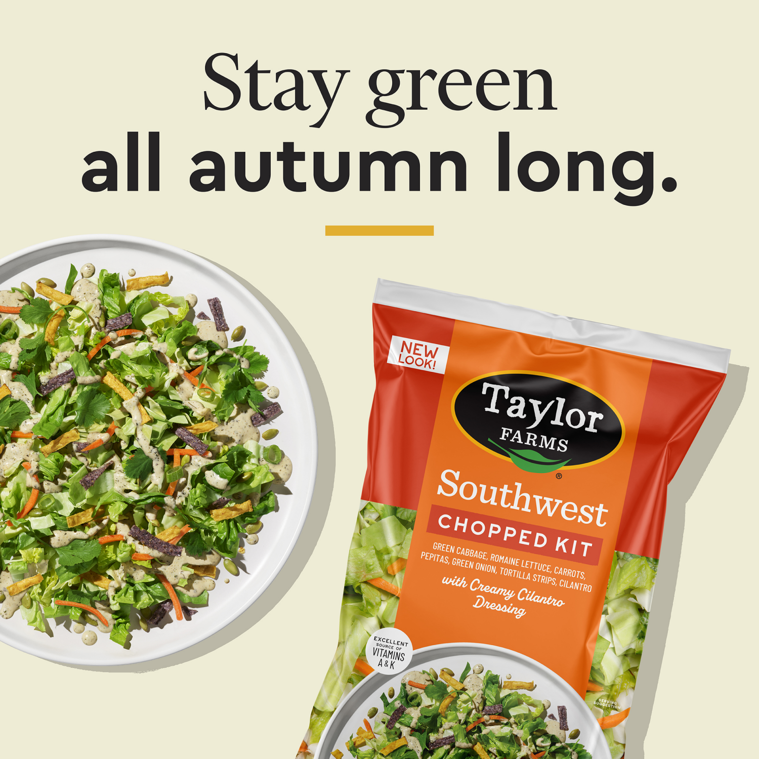 slide 5 of 5, Taylor Farms Southwest Chopped Salad with Dressing, 12.6 oz