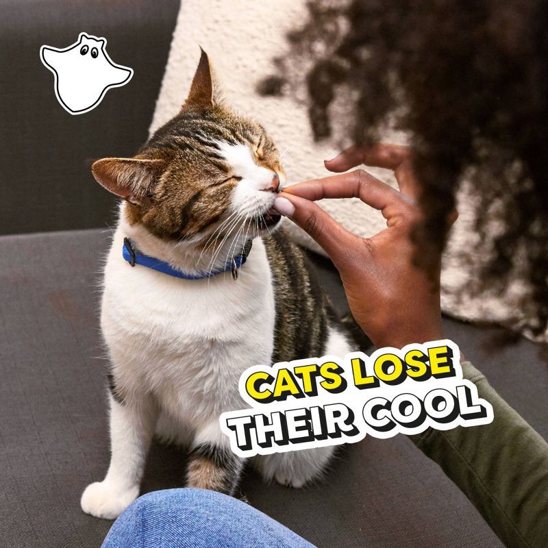 slide 9 of 11, Temptations Tasty Human Haunted House with Chicken and Beef Flavor Halloween Cat Treats - 3oz, 3 oz